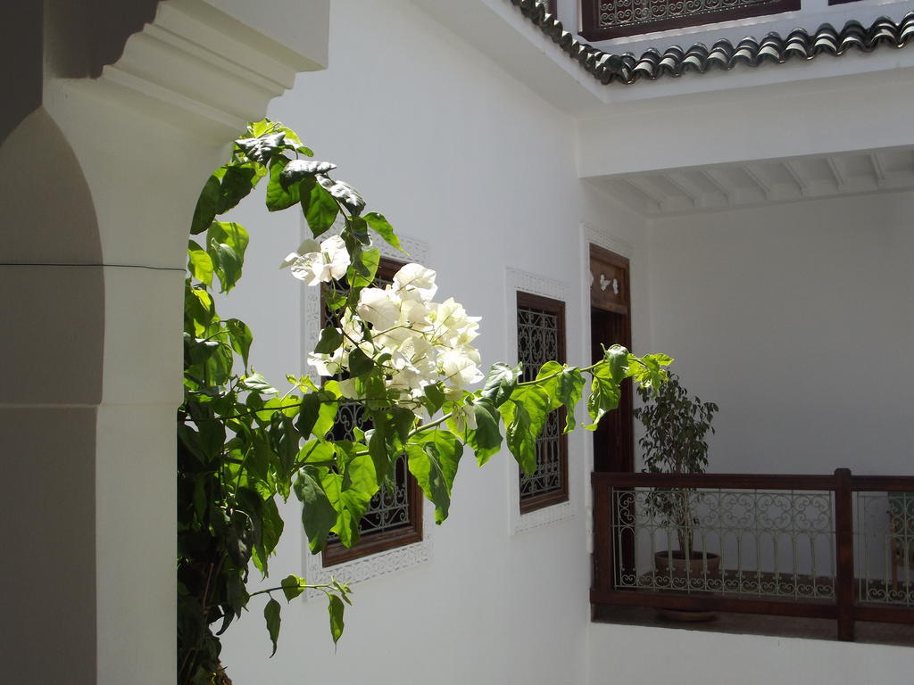 Riad Les Bougainvilliers Marrakesch Exterior foto